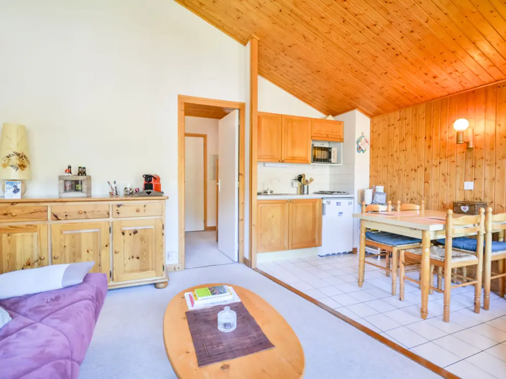 Location de Vacances Morzine 326