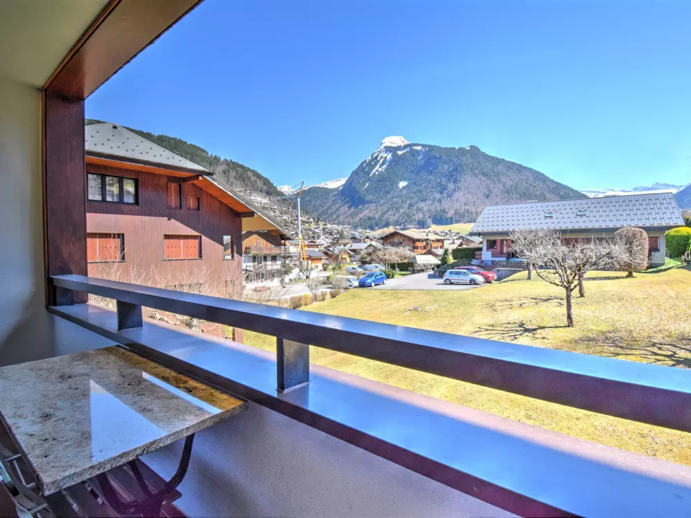 Location de Vacances Morzine 335
