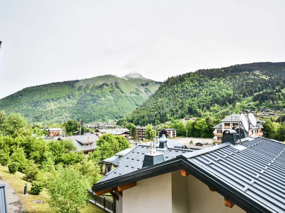 Location de Vacances Morzine 337