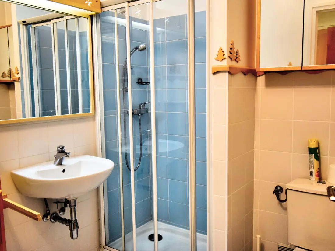Location de Vacances Morzine 89