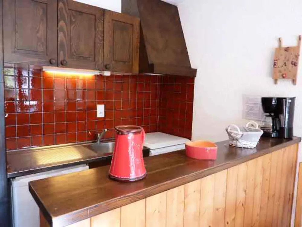 Location de Vacances Morzine 91