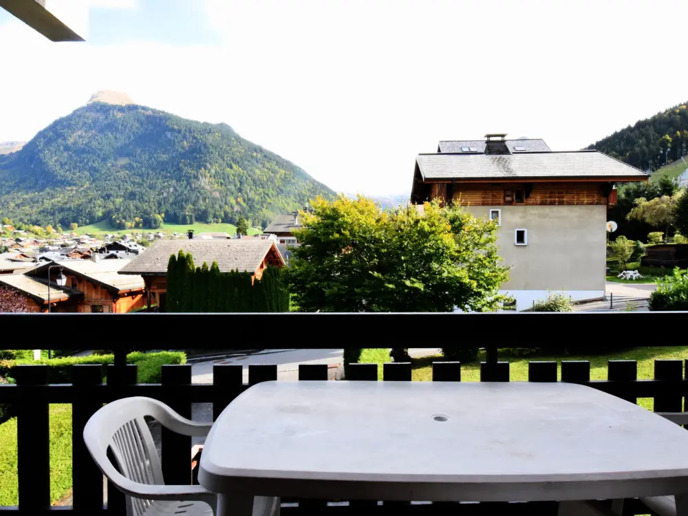 Location de Vacances Morzine 91