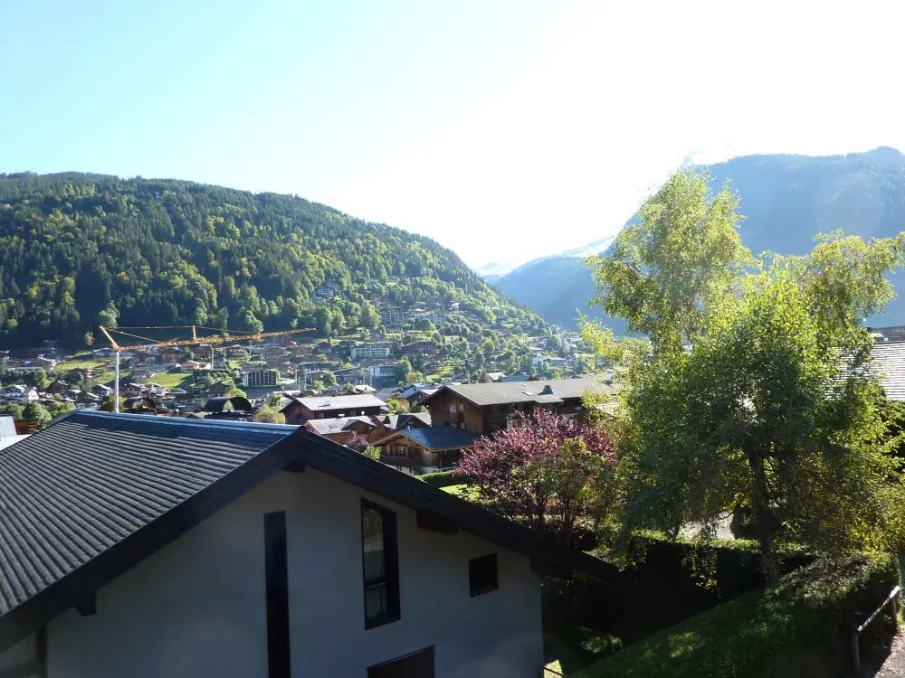 Location de Vacances Morzine 91