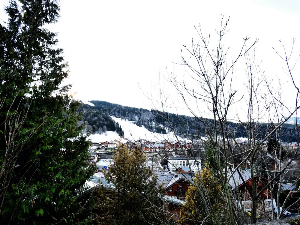 Maison de Vacances Morzine 150