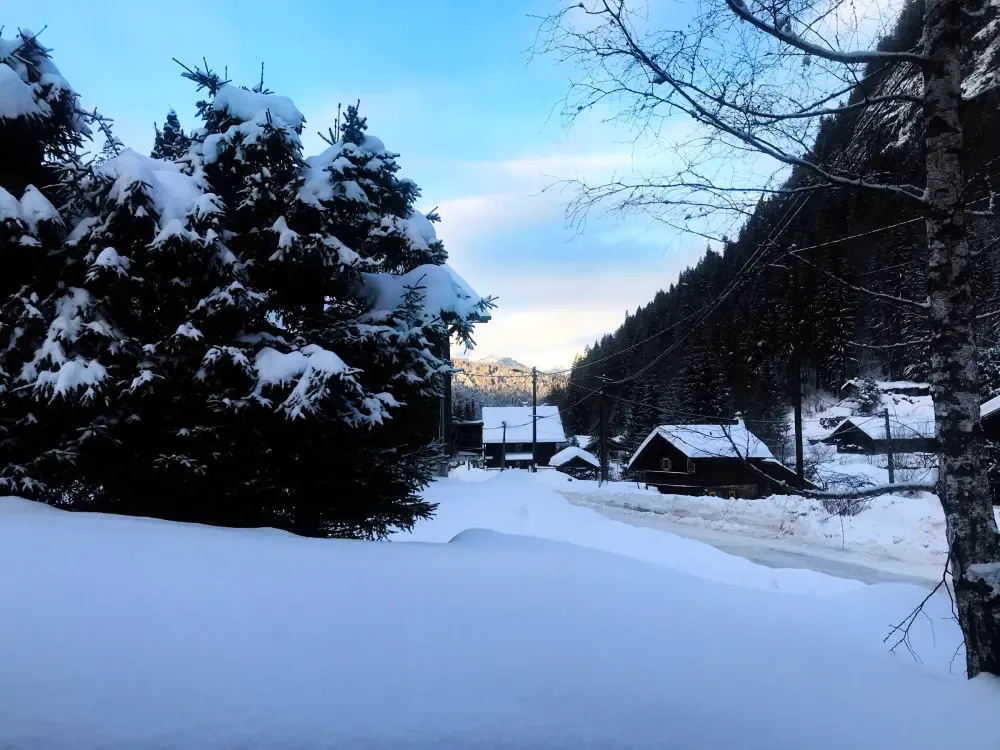 Maison de Vacances Morzine 87