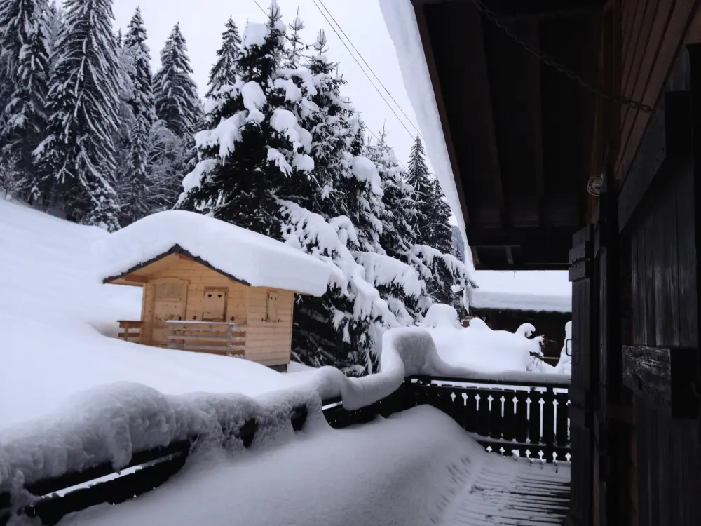 Maison de Vacances Morzine 87