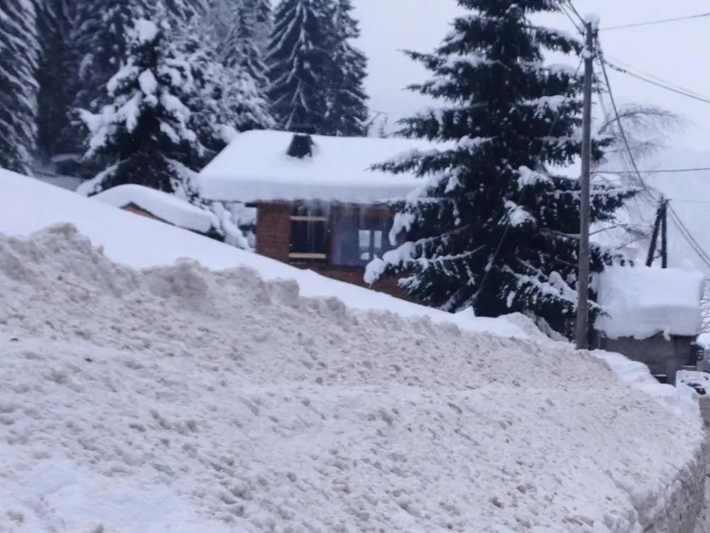 Maison de Vacances Morzine 87