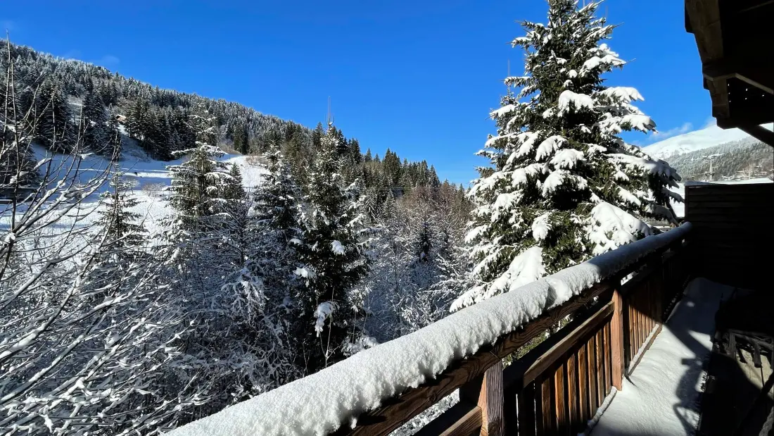Résidence Mesange Boreale-morzine