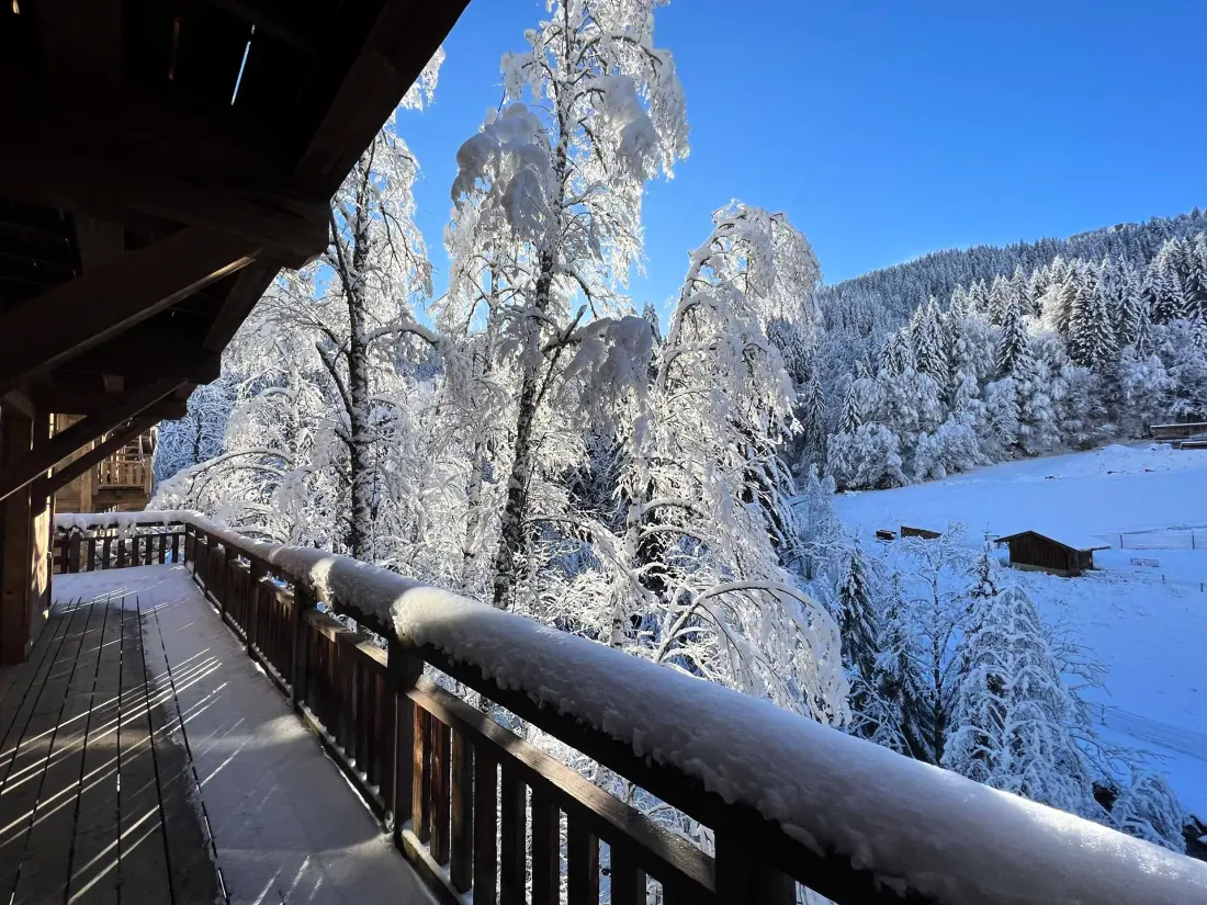 Résidence Mesange Cendree-morzine