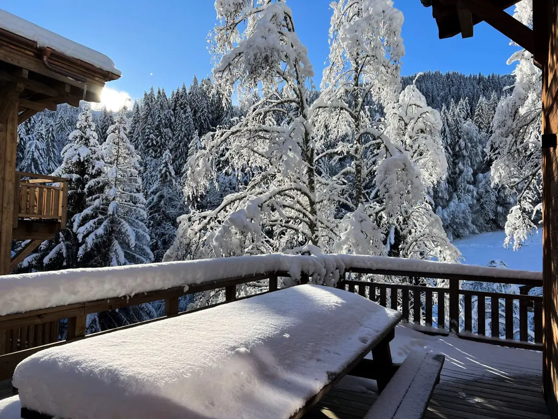 Résidence Mesange Cendree-morzine