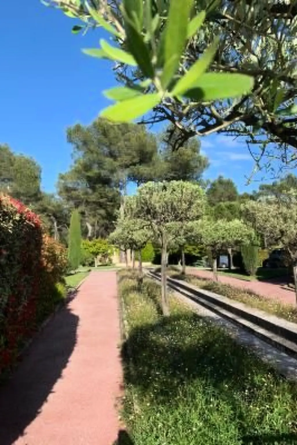 Résidence Moderne Wohnung in Mougins mit eigenem Garten