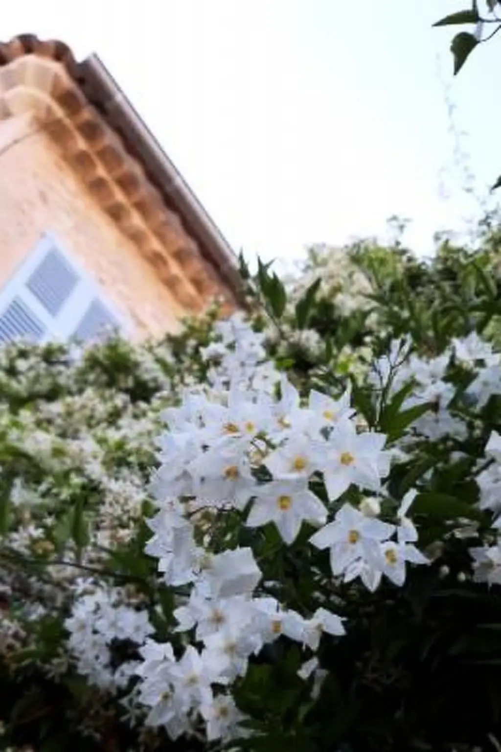 Résidence Moderne Wohnung in Mougins mit eigenem Garten