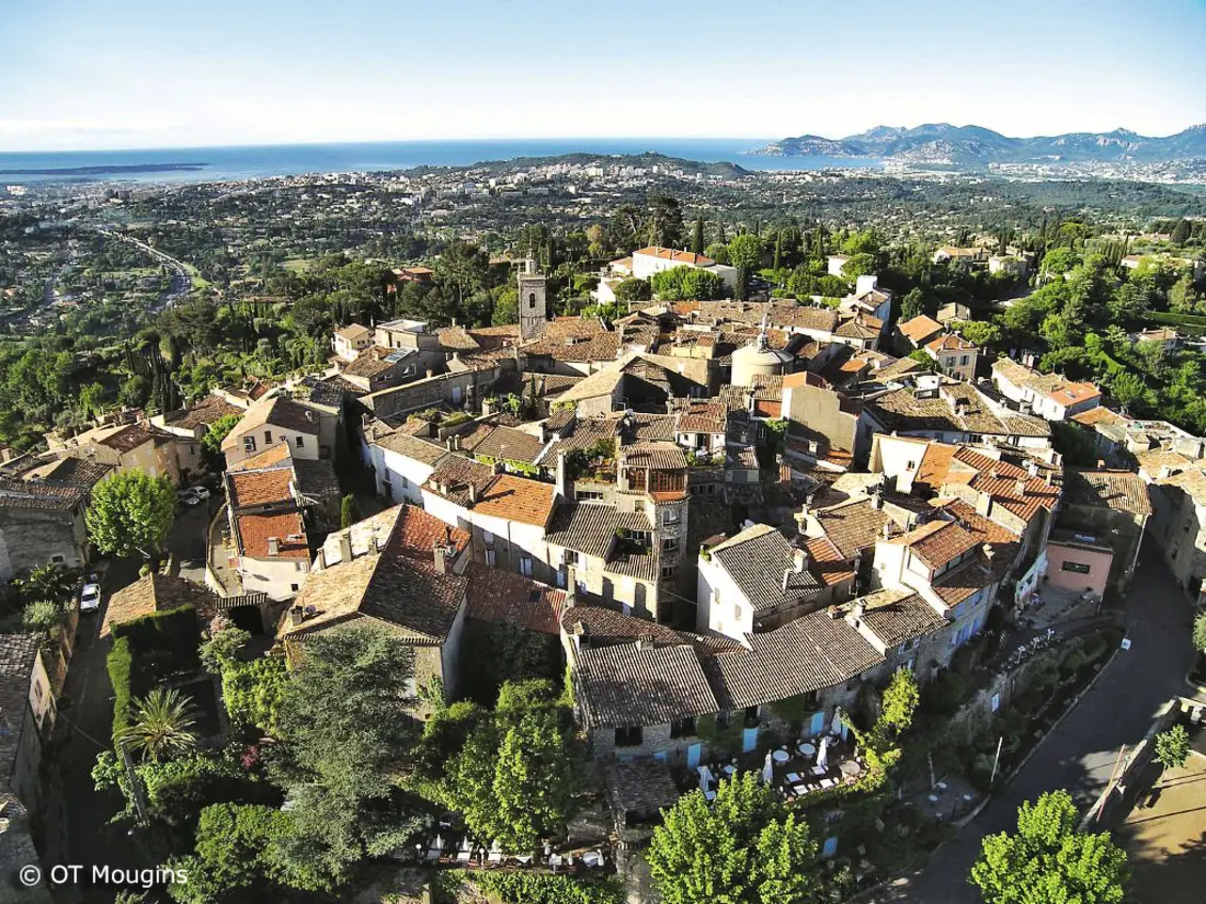 Résidence Paradisier Wohnung in Mougins