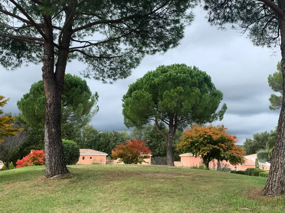 Résidence Wohnung in Mougins mit Gepflegtem Garten