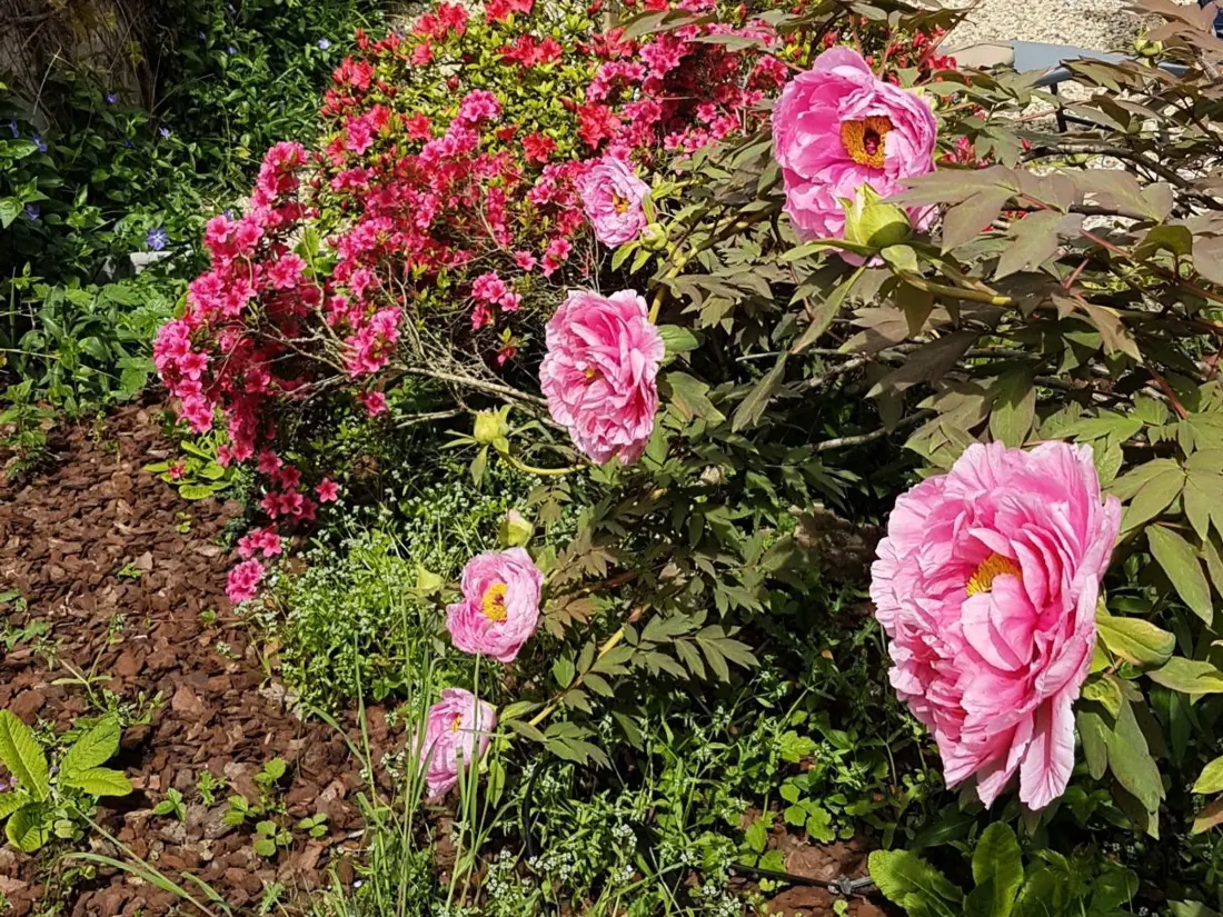 Maison de Vacances Moulins 14