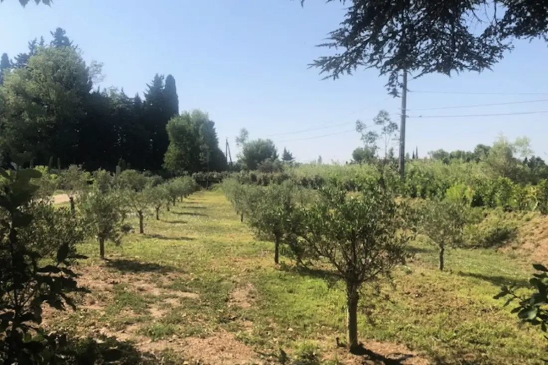 "nouveau" Le Mas De Ginoux à Mouriès
