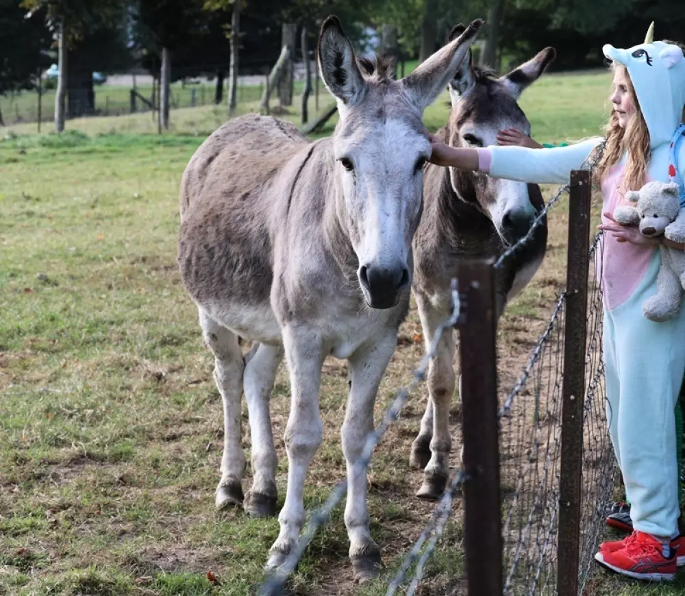 Camping Paradis Le Val de Trie4 étoiles★★★★