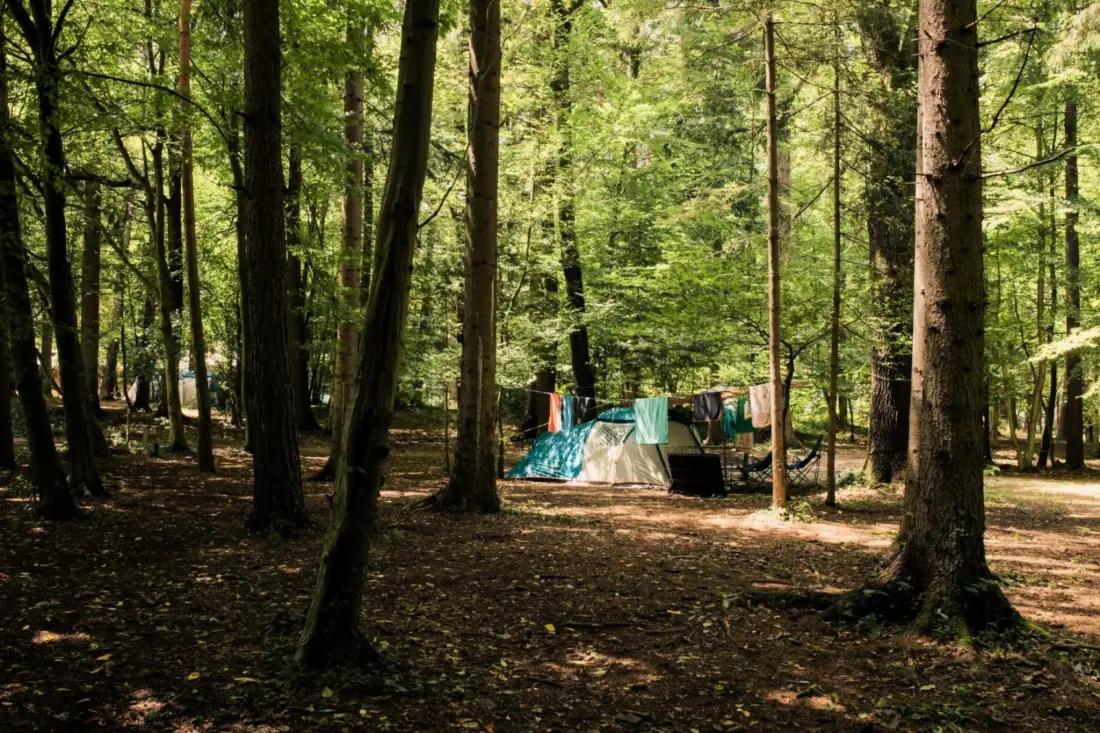 Forest Camping Mozirje 3 étoiles★★★