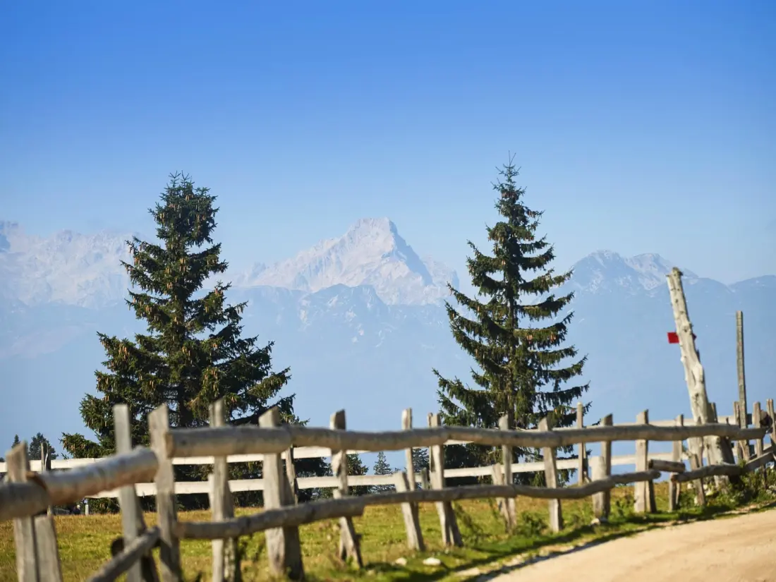 Forest Camping Mozirje 3 étoiles★★★