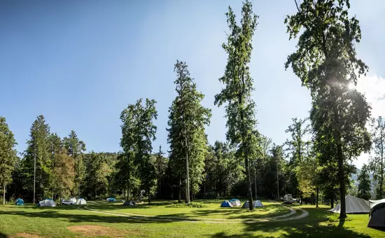 Forest Camping Mozirje ***
