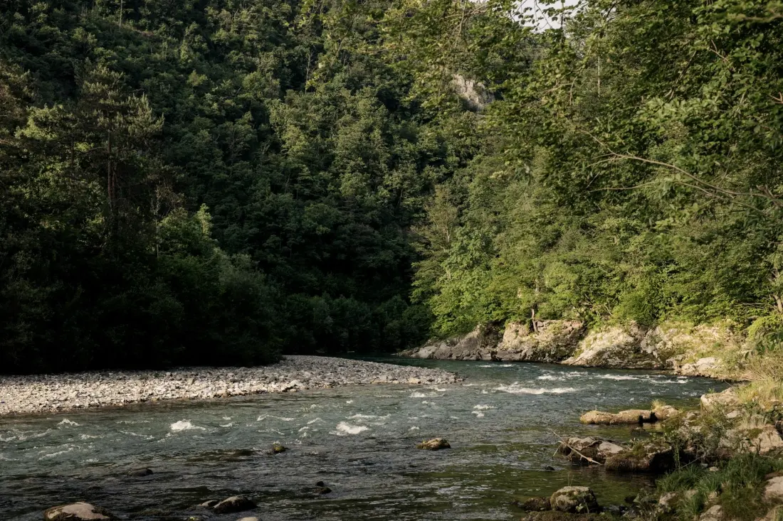 Forest Camping Mozirje 3 étoiles★★★