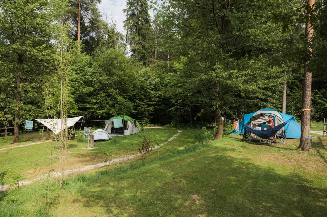 Forest Camping Mozirje 3 étoiles★★★