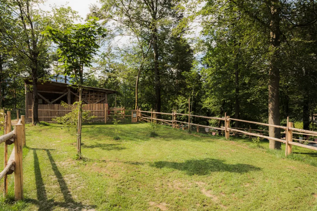 Forest Camping Mozirje 3 étoiles★★★