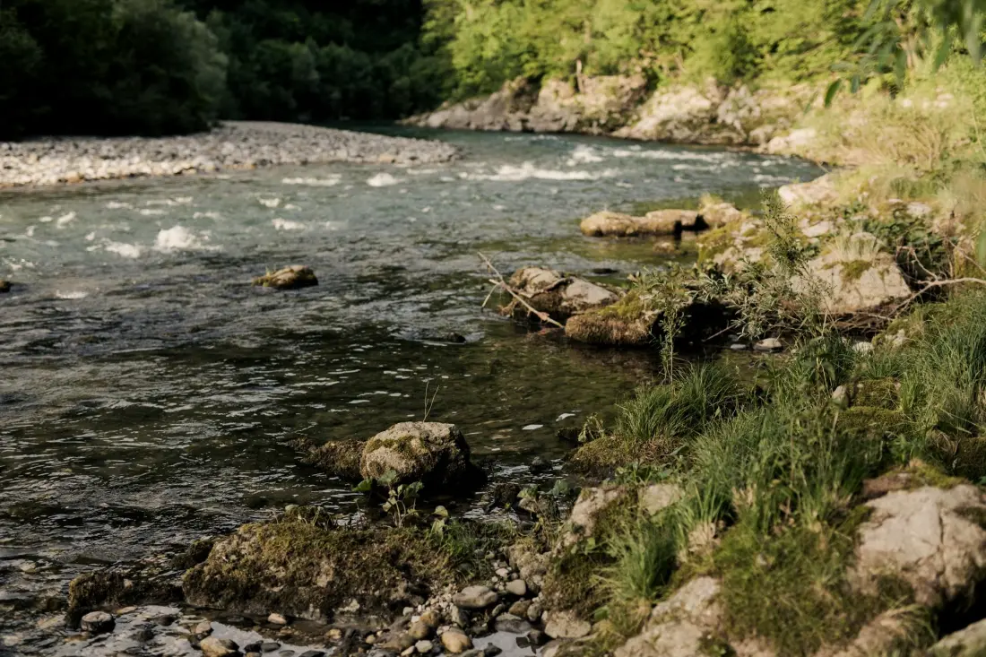 Forest Camping Mozirje 3 étoiles★★★