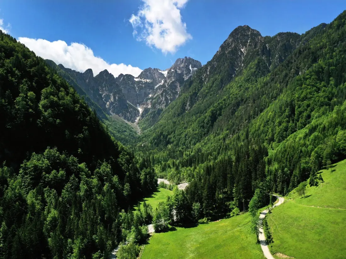 Forest Camping Mozirje 3 étoiles★★★