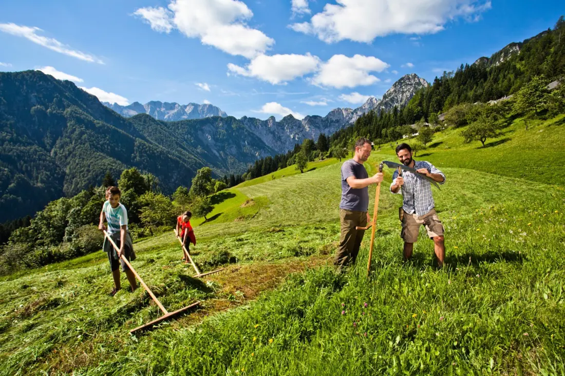 Forest Camping Mozirje 3 étoiles★★★