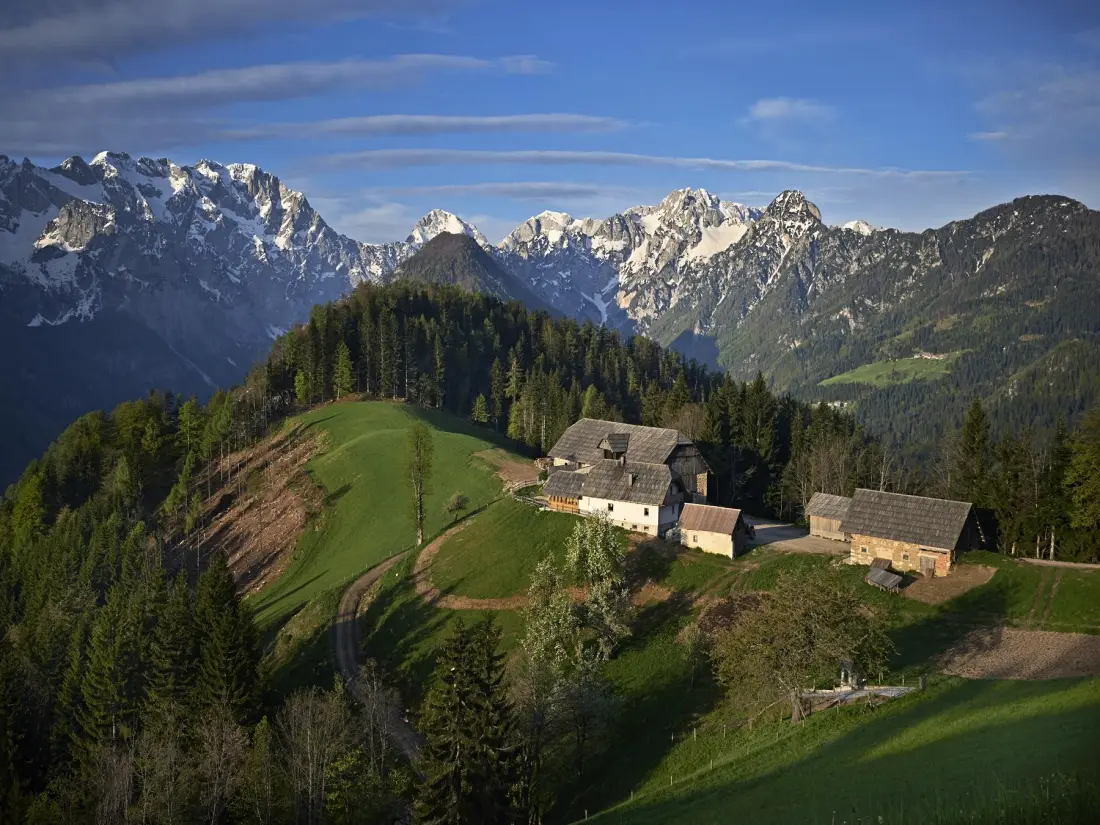 Forest Camping Mozirje 3 étoiles★★★