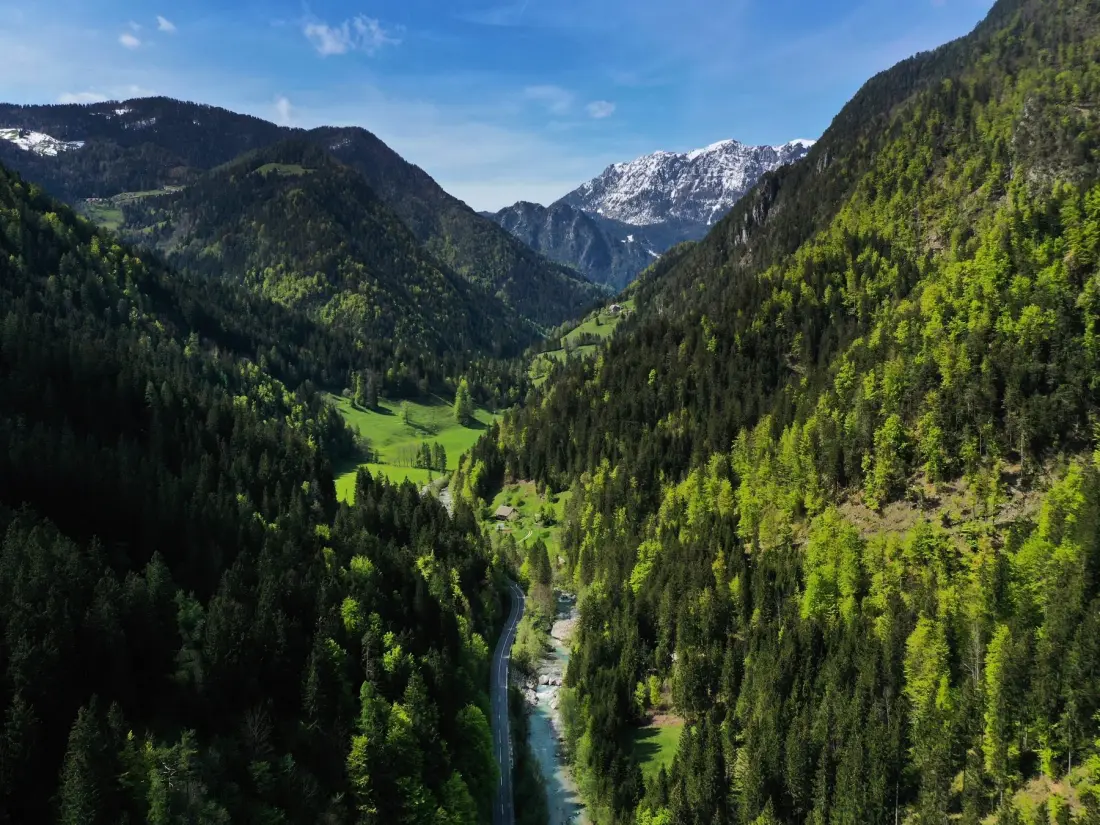 Forest Camping Mozirje 3 étoiles★★★