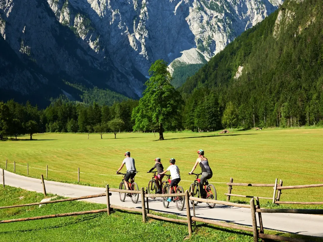Forest Camping Mozirje 3 étoiles★★★