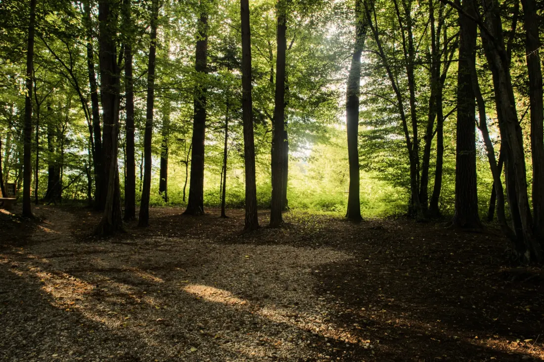 Forest Camping Mozirje 3 étoiles★★★