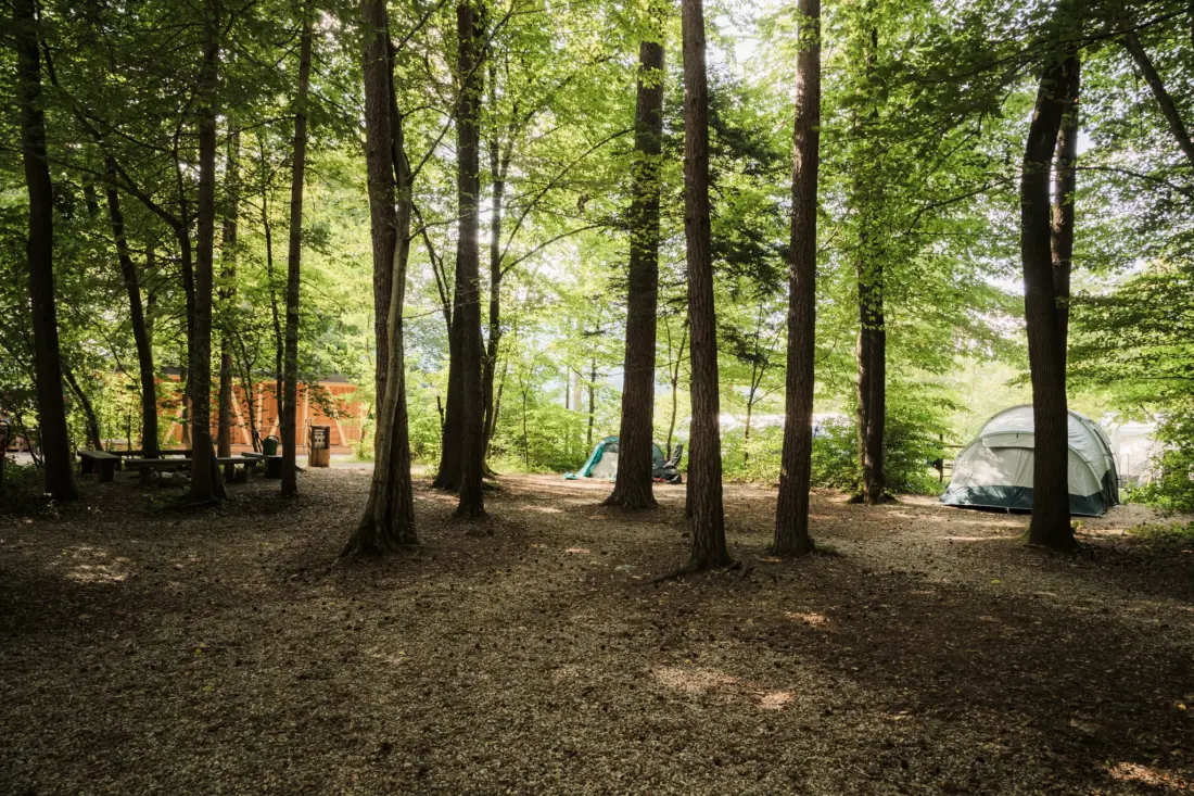Forest Camping Mozirje 3 étoiles★★★
