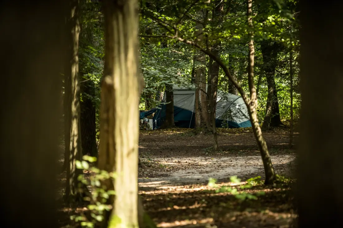 Forest Camping Mozirje 3 étoiles★★★
