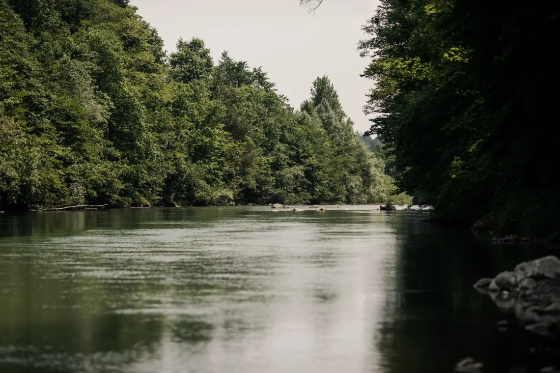 Forest Camping Mozirje 3 étoiles★★★
