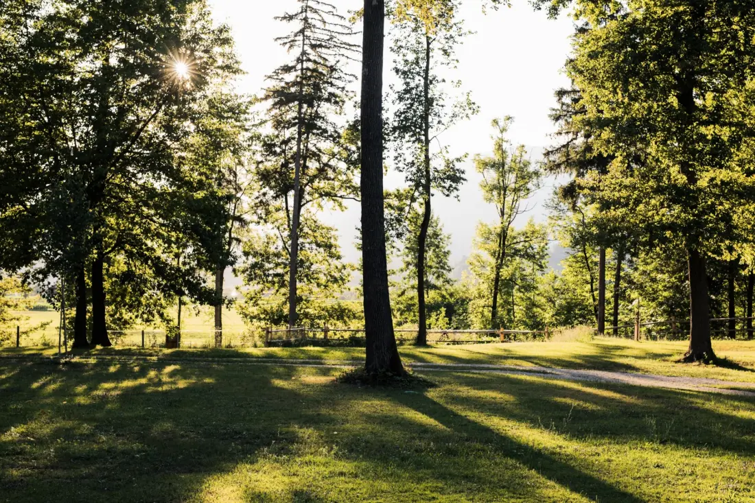 Forest Camping Mozirje 3 étoiles★★★
