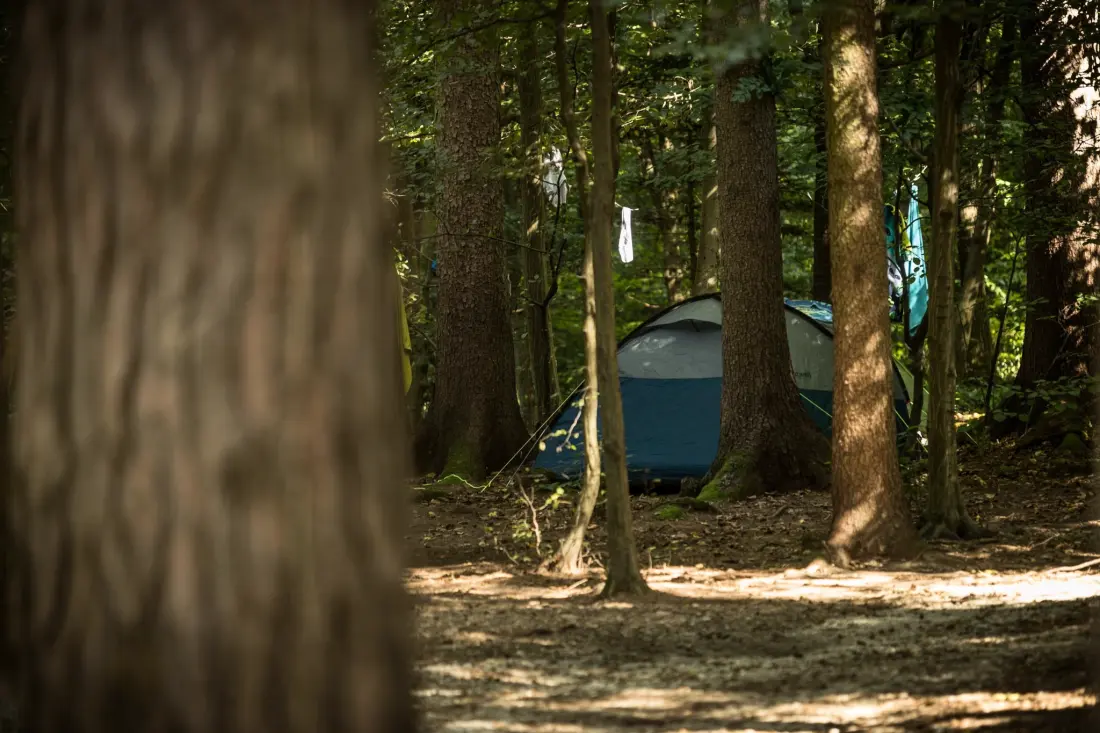 Forest Camping Mozirje 3 étoiles★★★