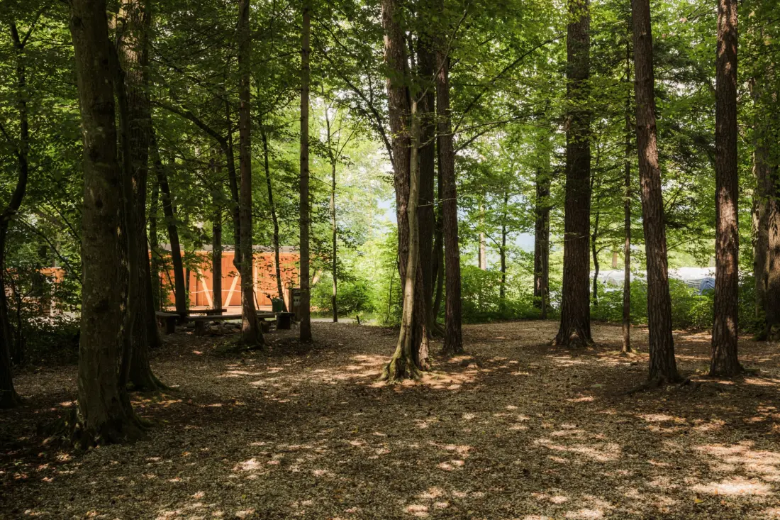 Forest Camping Mozirje 3 étoiles★★★