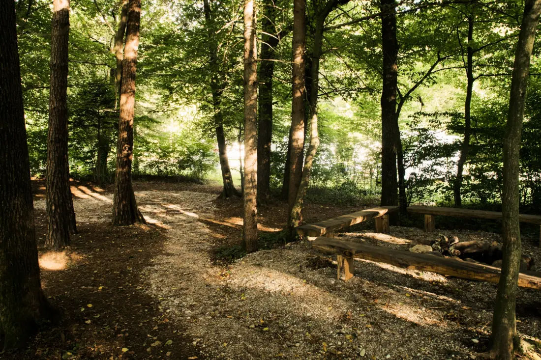 Forest Camping Mozirje 3 étoiles★★★
