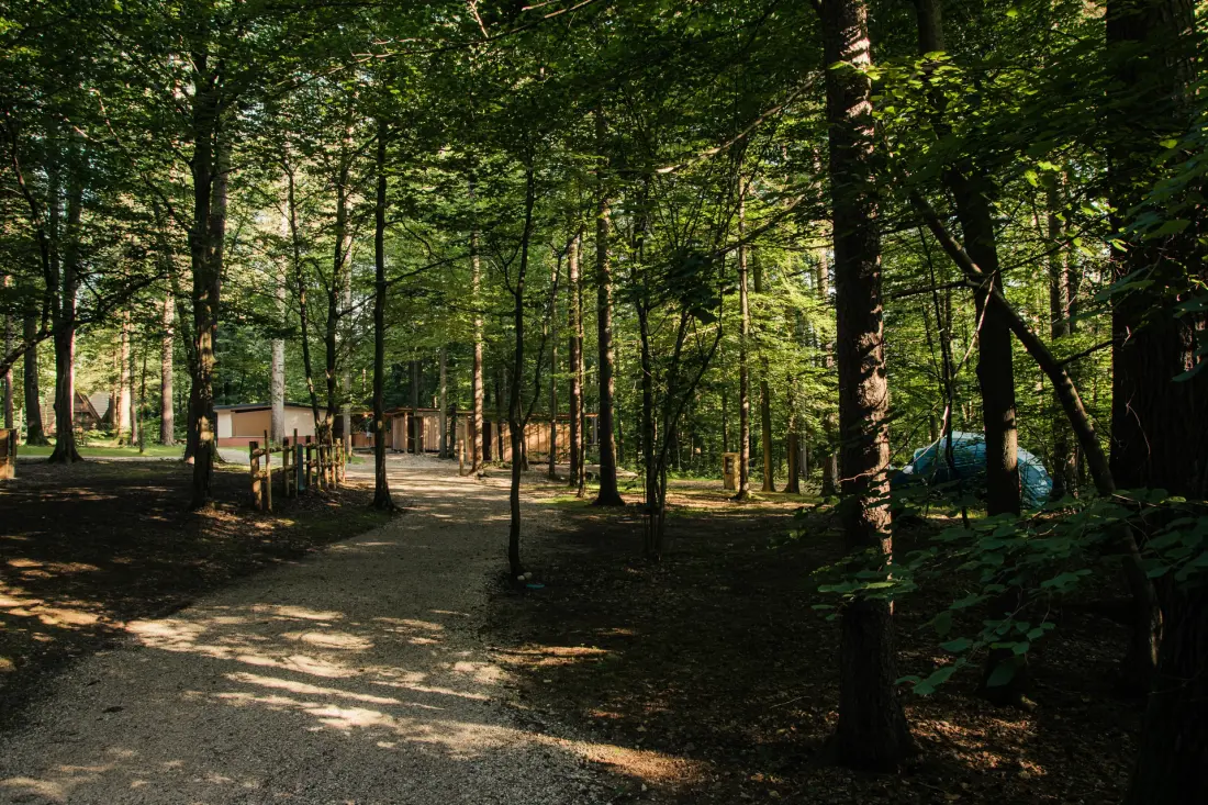Forest Camping Mozirje 3 étoiles★★★