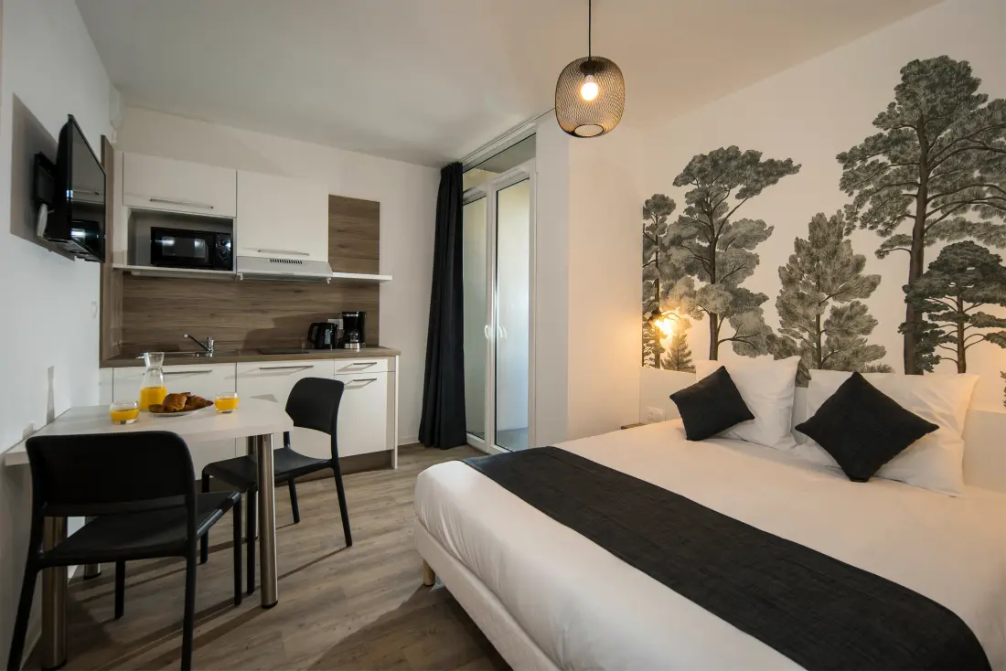 Apart'hôtel Lagrange Mulhouse Saint Sauveur 3 étoiles★★★