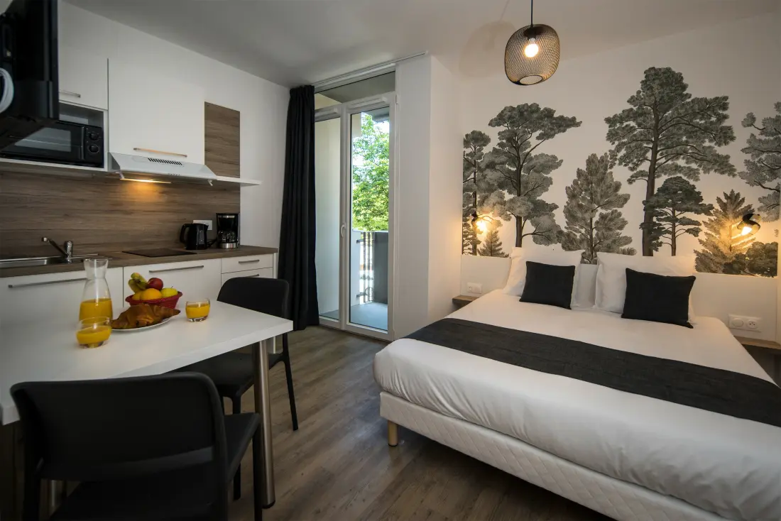 Apart'hôtel Lagrange Mulhouse Saint Sauveur 3 étoiles★★★