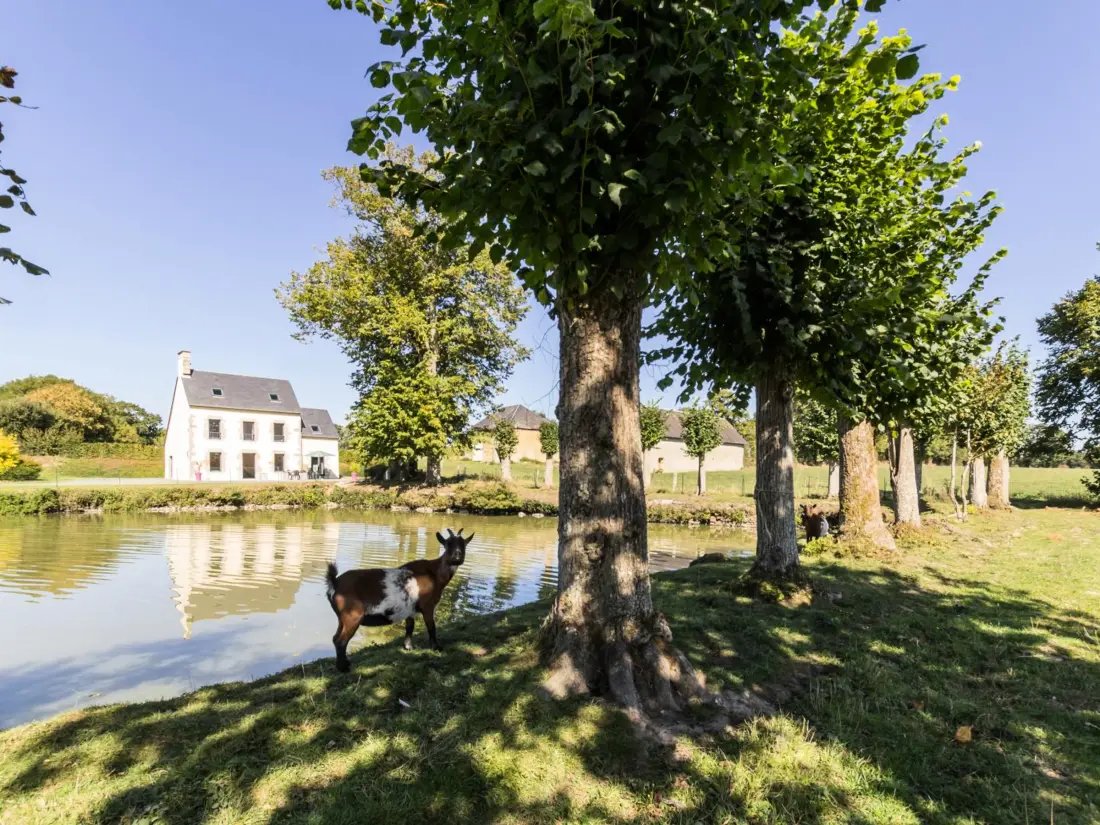 Maison de Vacances Muneville-sur-Mer