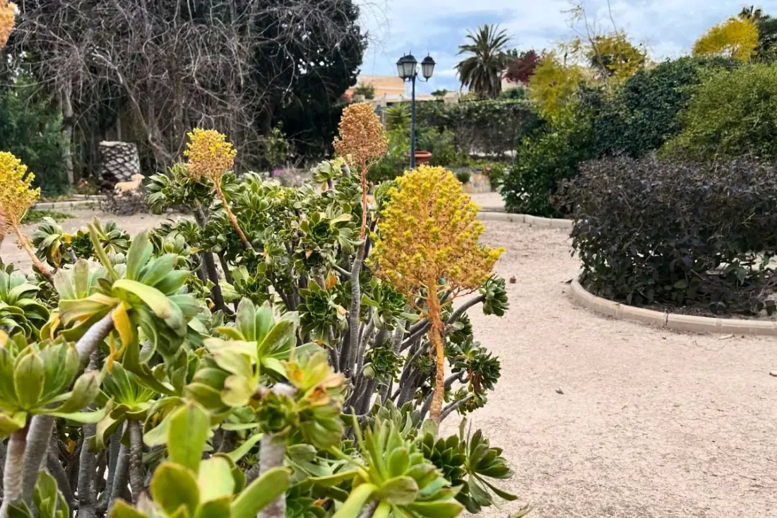 Authentique Finca Espagnole Avec Piscine Privée Et Jardin