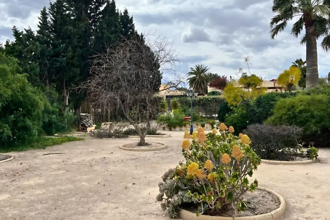 Authentique Finca Espagnole Avec Piscine Privée Et Jardin