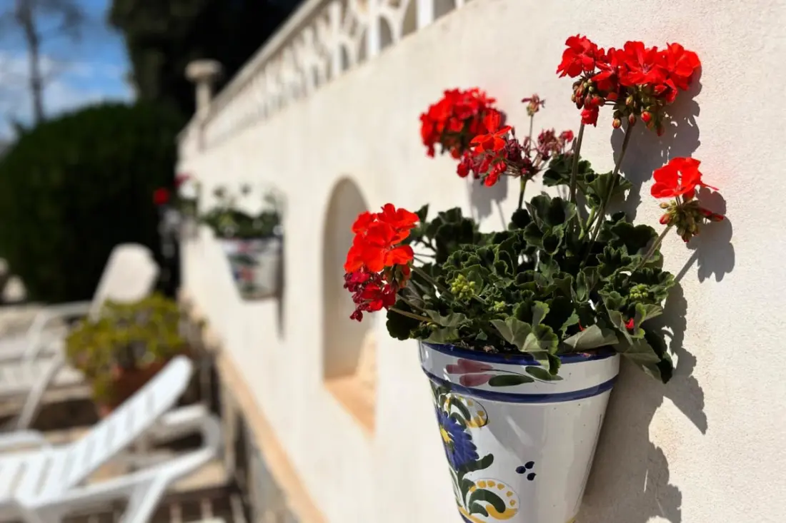 Authentique Finca Espagnole Avec Piscine Privée Et Jardin