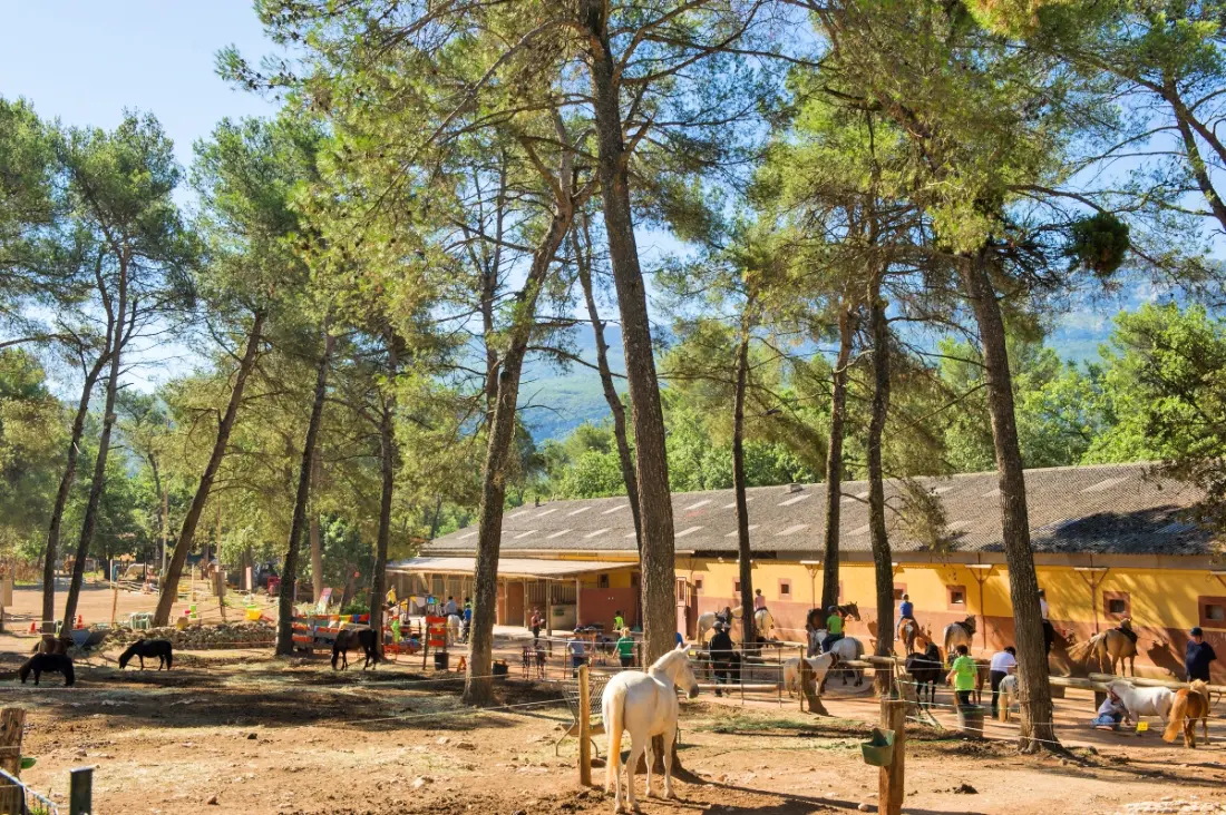 Camping Le Domaine de la Sainte Baume 4 étoiles★★★★