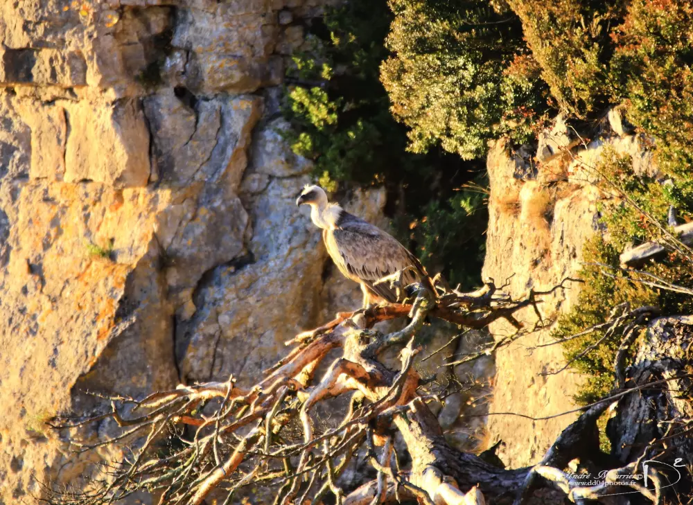 RCN Val de Cantobre 4 étoiles★★★★